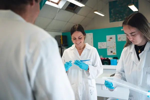 laboratoire 3